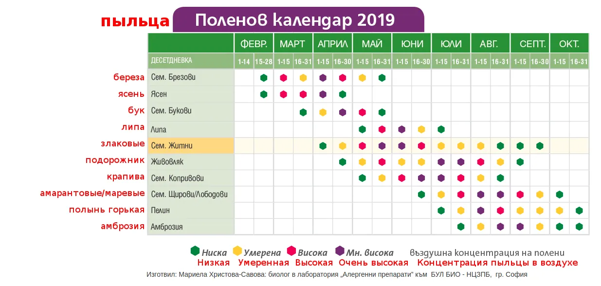Периоды цветения трав и деревьев в Болгарии. Актуальная информация для аллергиков