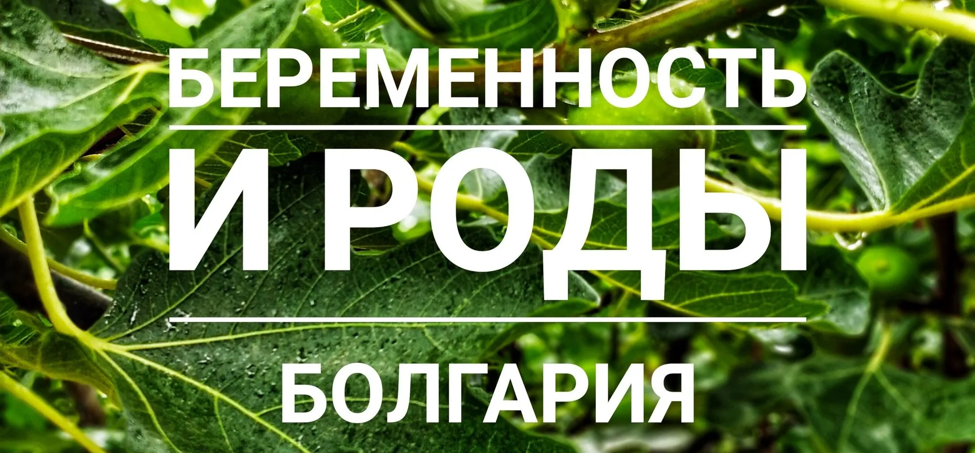 Роды в Болгарии на примере клиник Бургаса